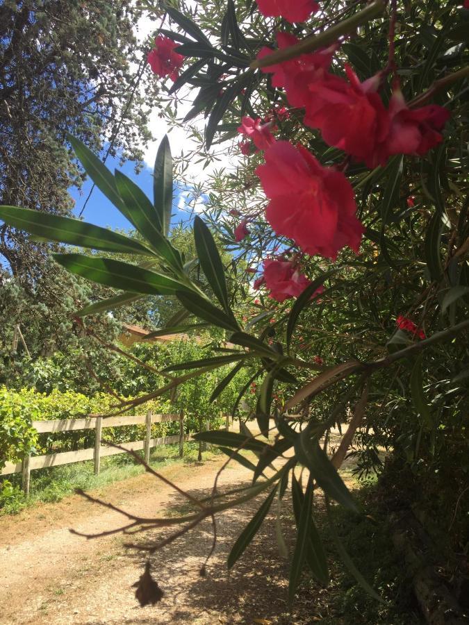 Mas D'Auzieres Bed & Breakfast Saint-Gilles  Bagian luar foto